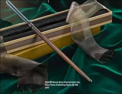 A qui appartient cette baguette ?