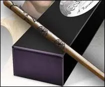 A qui appartient cette baguette ?