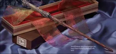 A qui appartient cette baguette ?