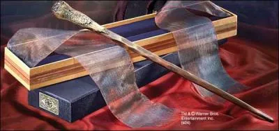 A qui appartient cette baguette ?