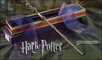 A qui appartient cette baguette ?