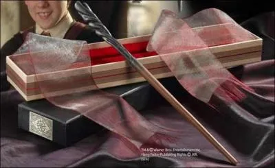 A qui appartient cette baguette ?