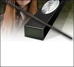 A qui appartient cette baguette ?