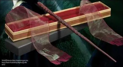 A qui appartient cette baguette ?