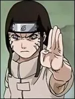Quelle est la technique hrditaire de Neji ?