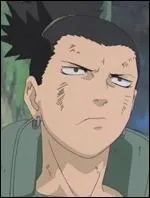 Shikamaru va tre le seul  devenir ...