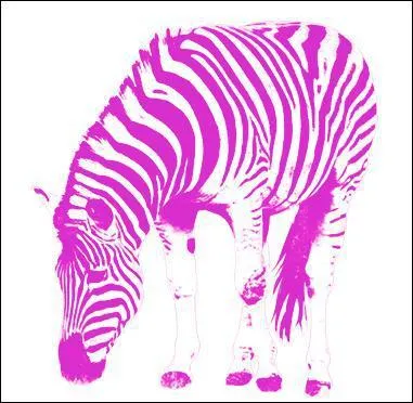 De quelles couleurs est cet animal ?