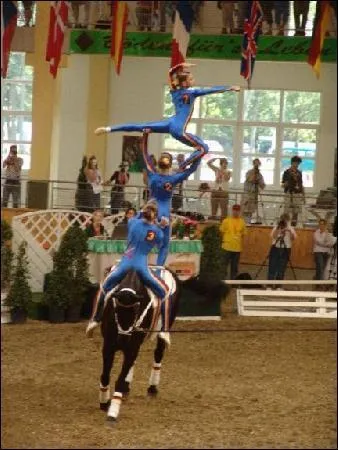 Quelle est cette discipline ?