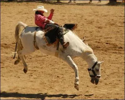 Quelle est cette discipline ?