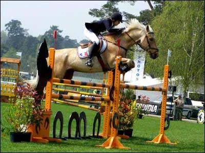 Quelle est cette discipline ?