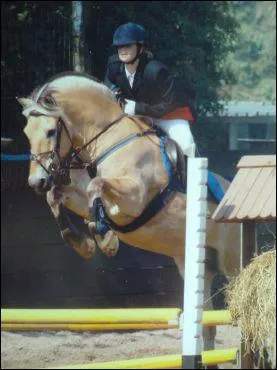 Que fait ce cheval ?