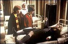 Comment Hermione se retrouve-t-elle ptrifie ?