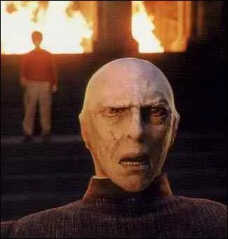 Quel est le vrai nom de Voldemort ?