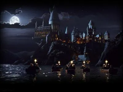 Comment Ron et Harry font-ils pour se rendre  Poudlard ?