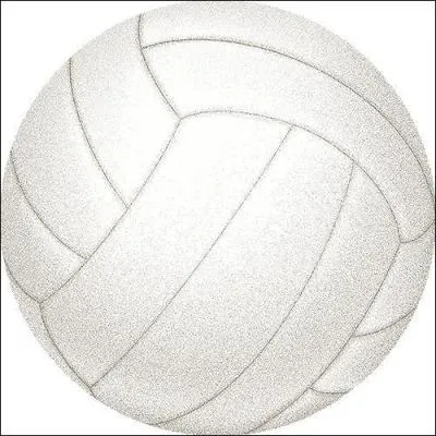 A quelle sport appartient cette balle ?