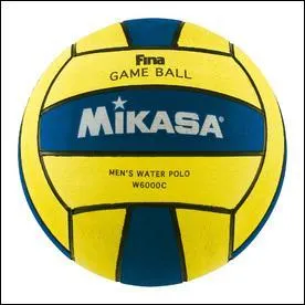 A quelle sport appartient cette balle ?