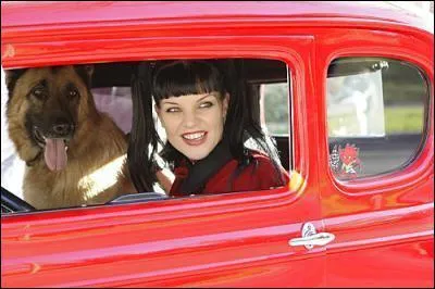 Comment s'appelle le chien ?