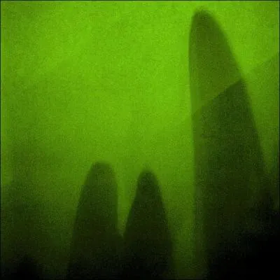 De quelle couleur s'agit-il ?