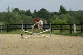 Les verticaux sont des obstacles comprenant 2 barres croises.