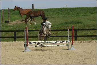 Pour sauter avec le cheval, il faut regarder droit devant soi.