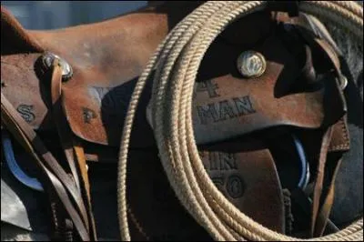 Les cavaletti sont une selle spciale pour sauter.