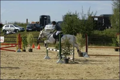 Au trot enlev et au galop, le passage des obstacles se fait en suspension.