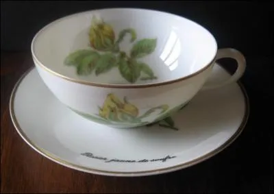 'Porcelaine de Limoges' est une appellation contrle et ne peut tre attribue qu' la porcelaine produite en Haute-Vienne. Quelle est la matire 1re indispensable  la fabrication de la porcelaine ?