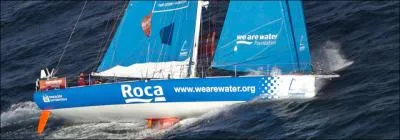 Quel est le nom du jeu virtuel de la course cette anne ?