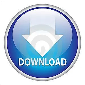 Selon les chiffres de Torrent, quel film a t le plus pirat sur Internet, durant l'anne 2010 ?