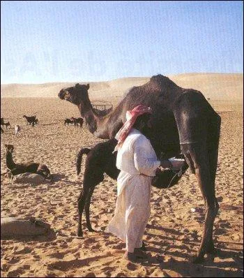 Ce paysage correspond 