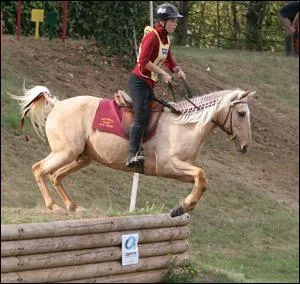 Quelle est la discipline montre sur l'image ?