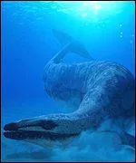 Comment s'appelle ce reptile marin ?