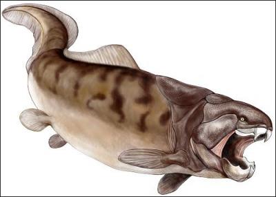 Comment s'appelle ce poisson préhistorique ?