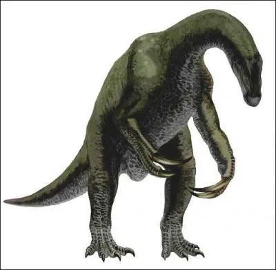 Comment s'appelle ce dinosaure ?