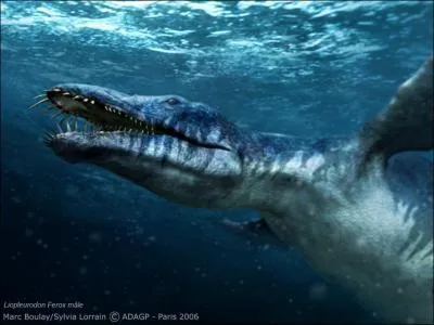 Comment s'appelle ce reptile marin ?