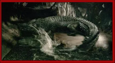 De quel film provient cette image ?