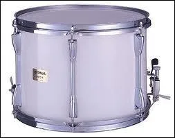 Quel est cet instrument ?