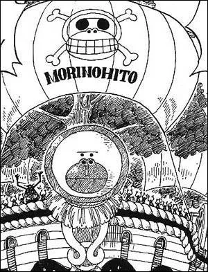 A qui est ce bateau ?