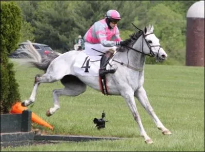 Le dosage de la nourriture dépend (entre autres) des efforts que le cheval doit fournir :