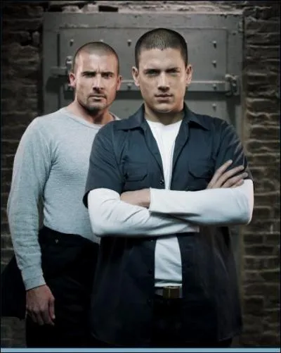 Qui sont-ils dans la série ?