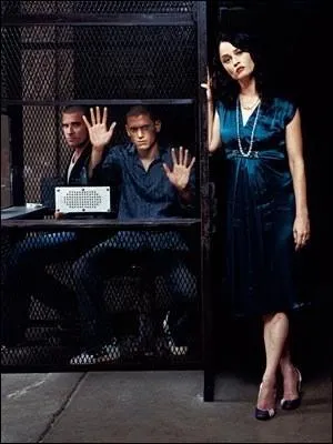 Pourquoi Michael Scofield s'est-il retrouvé derrière les barreaux de Fox River ?