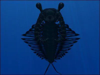 Quel est cet animal ?