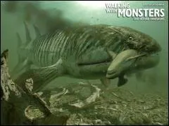 Quel est cet animal ?