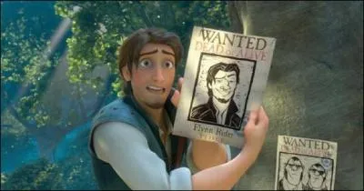De quoi se plaint Flynn Rider sur les photos accroches un peu partout ?