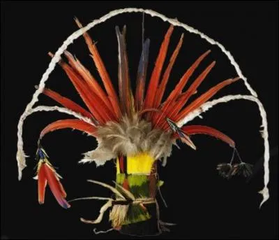 Cette coiffe appel Orok est compose de fibres vgtales, cotons, lytres de scarabe, peau de singe et de plumes. Elle a t acquise dans l'tat du Para :