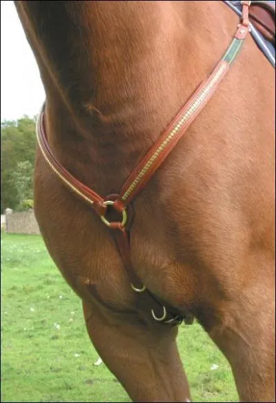 Quelle est la bonne orthographe ?