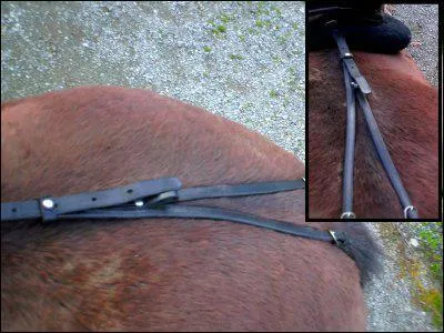 Quel est cet quipement sur l'arrire de la monture ?