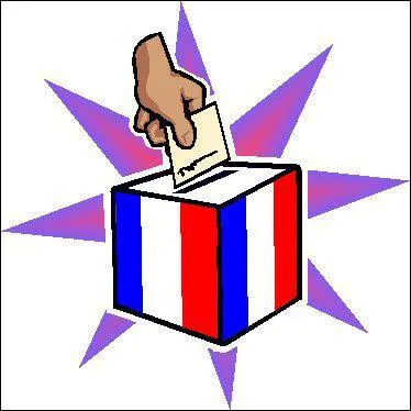 Politique : quelles lections ont eu lieu cette anne ?