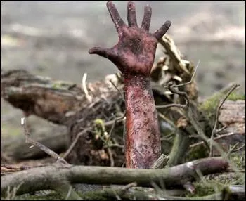 De quel film provient cette image ?