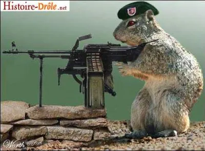 Que fait cet animal ?